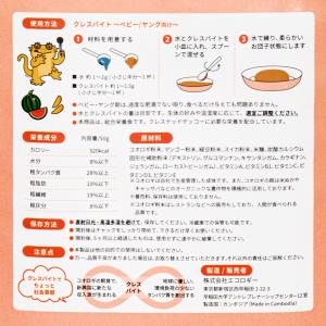 クレスバイト 50g ベビー 爬虫類 クレステ...の詳細画像1