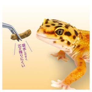 マルカン レオパドライフード コオロギ 70gの詳細画像3