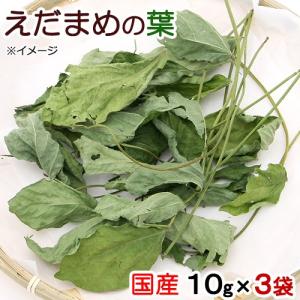 3袋セット 国産 えだまめの葉 10g×3袋の商品画像