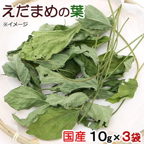 ３袋セット　国産　えだまめの葉　１０ｇ×３袋