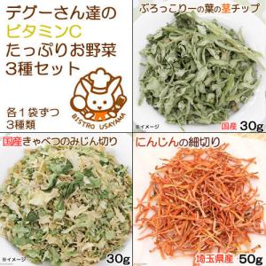 デグーさん達のビタミンCたっぷりお野菜セット 人...の商品画像