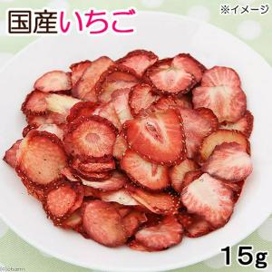国産 チンチラの食事プレミアム 1.2kg 国...の詳細画像4