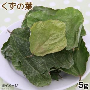 国産 チンチラの食事プレミアム 1.2kg 国...の詳細画像4