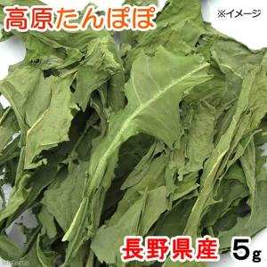 国産 チンチラの食事プレミアム 1.2kg 国...の詳細画像4