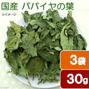 3袋セット 国産 パパイヤの葉 30g×3袋 お...の商品画像