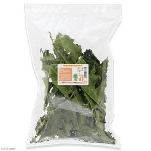 3袋セット 国産 パパイヤの葉 30g×3袋 ...の詳細画像1