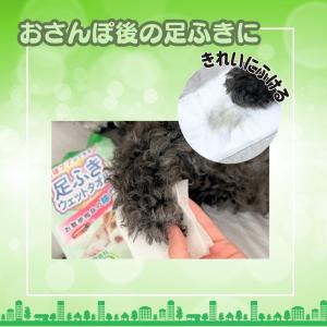 ジョイペット 足ふきウェットタオル 50枚入 ...の詳細画像1