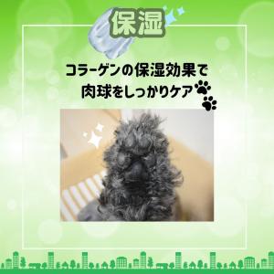 ジョイペット 足ふきウェットタオル 50枚入 ...の詳細画像4