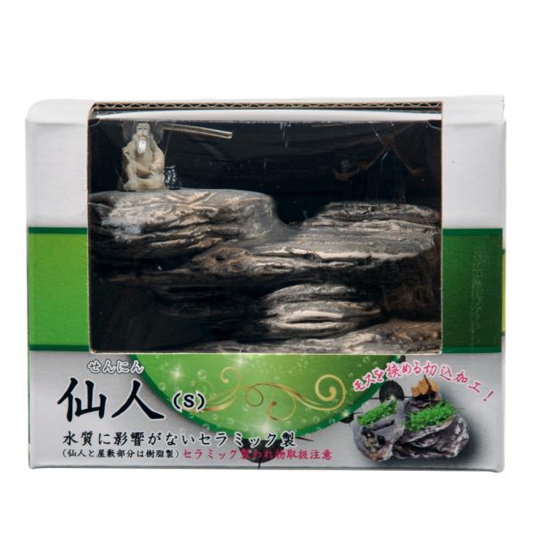 アズー　仙人　Ｓ