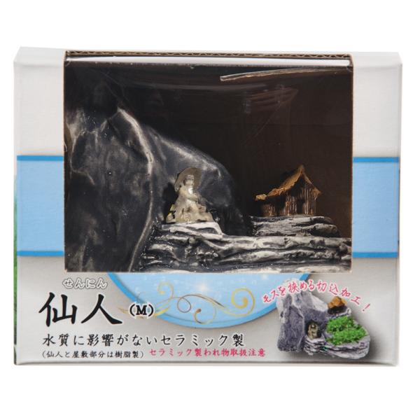 アズー　仙人　Ｍ
