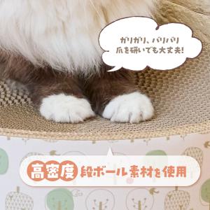 ボンビアルコン 猫のツメトギ ねこまるまる ア...の詳細画像5