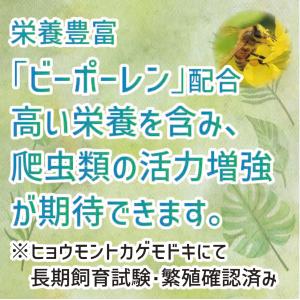キョーリン プロバグズ ホーンワームピューレ ...の詳細画像5