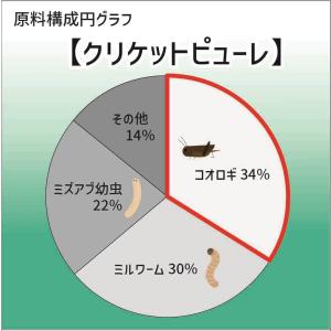 キョーリン プロバグズ クリケットピューレ 6...の詳細画像4