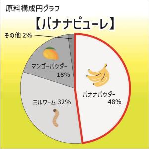 キョーリン プロバグズ バナナピューレ 60g...の詳細画像4