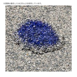 猫砂 エバークリーン 無香タイプ 6L 3個 ...の詳細画像2