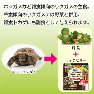 キョーリン リクガメフード リックゼリー お徳...の詳細画像4