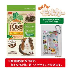 日本ペットフード パルONE モルモットフード...の詳細画像3