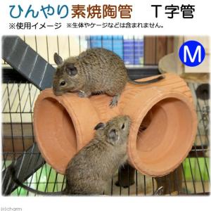三晃商会 イージーホーム 40ハイ デグー飼育セットC スターターセット
