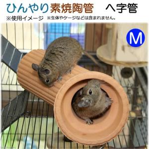 ひんやり素焼陶管　へ字管　Ｍ　小動物用　ハウス　トンネル｜チャーム charm ヤフー店