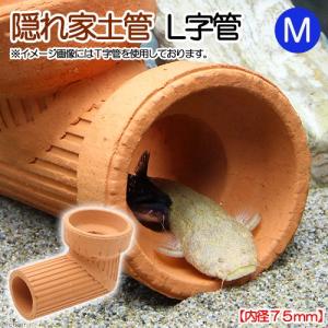 一点物 モロッコ産 直角石 オルソセラスの群生化石 47×27cm 部分