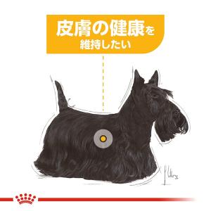 ロイヤルカナン 皮膚の健康を維持したい犬用 超...の詳細画像3