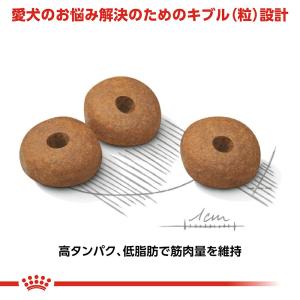 ロイヤルカナン 減量したい犬用 小型犬用 ミニ...の詳細画像4