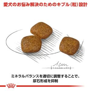 ロイヤルカナン 健康な尿を維持したい犬用 超小...の詳細画像4