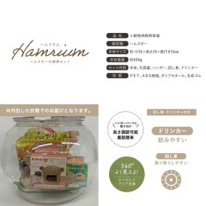 アウトレット品 ケージ ミニアニマン ハムリウ...の詳細画像4