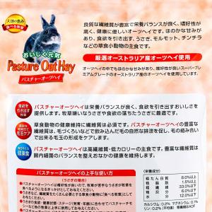 ハイペット 通販専用パスチャーオーツヘイ 40...の詳細画像3