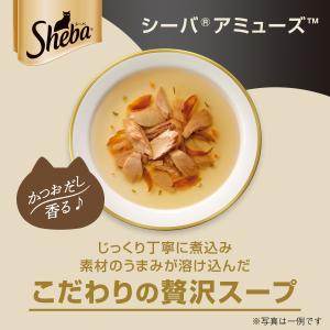 シーバ アミューズ 18歳以上 お魚スープ ま...の詳細画像1