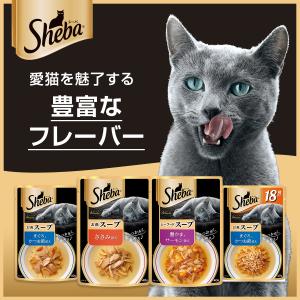 シーバ アミューズ 18歳以上 お魚スープ ま...の詳細画像2