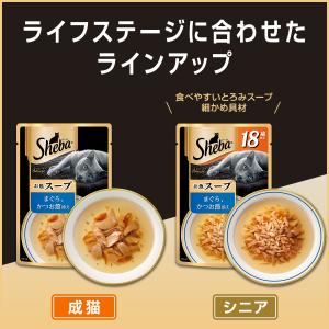 シーバ アミューズ 18歳以上 お魚スープ ま...の詳細画像3