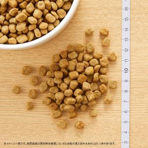 ニュートロ ナチュラルチョイス 減量用 超小型...の詳細画像5