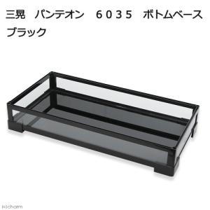 期間限定値下げ　爬虫類ケージ　グラステラリウム6030 美品 GEX エキゾテラ グラステラリウム PRO 6030 爬虫類 トカゲ