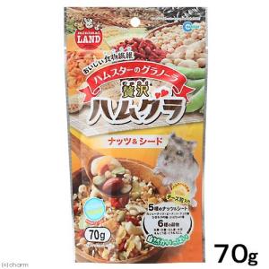 マルカン 贅沢ハムグラ ナッツ&シード 70g ...の商品画像