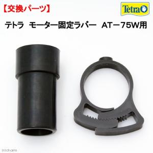 volxjapan（ボルクスジャパン） VestaWave VW08HG