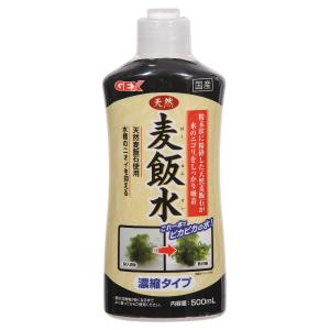 ＧＥＸ　天然麦飯水　５００ｍｌ