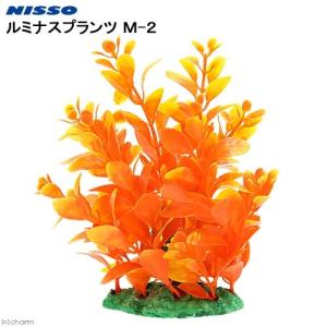 アウトレット品　ニッソー　ルミナスプランツ　Ｍ−２　訳あり