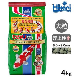 鯉の餌　キョーリン　ひかり大粒　４ｋｇ　錦鯉　餌　飼料　お一人様４点限り