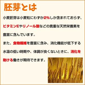 鯉の餌 キョーリン ひかり胚芽 浮上 中粒 1...の詳細画像2