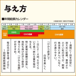 鯉の餌 キョーリン ひかり胚芽 浮上 中粒 1...の詳細画像3