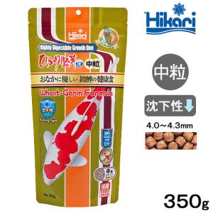 鯉の餌 キョーリン ひかり胚芽 沈下 中粒 35...の商品画像