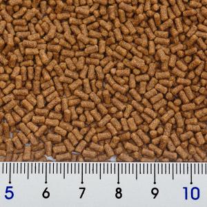 キョーリン ひかり ヌマエビ 30g お一人様...の詳細画像1