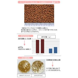 キョーリン ひかり ヌマエビ 30g お一人様...の詳細画像3