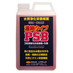 シマテック ｐｓｂプラス プラス １ｌ チャーム Charm Paypayモール店 通販 Paypayモール