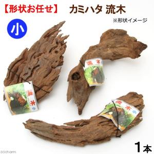チャーム（charm） 煮込み済み ハニカムウッド Sサイズ 15