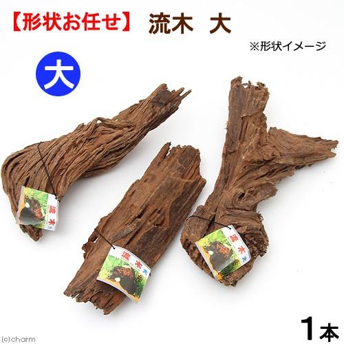カミハタ　流木　大　形状お任せ　お一人様１点限り　アクアリウム　水槽