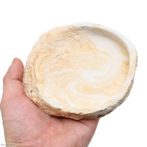 スドー レプティボウル2 MFの詳細画像1