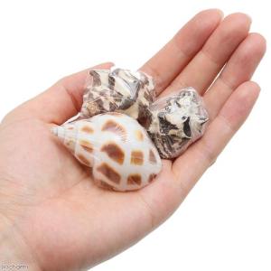 マルカン ナチュラルシェルMの詳細画像1