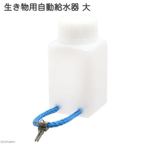 ピクタ　生き物用自動給水器　大　爬虫類　コオロギ　水やり器　水分補給